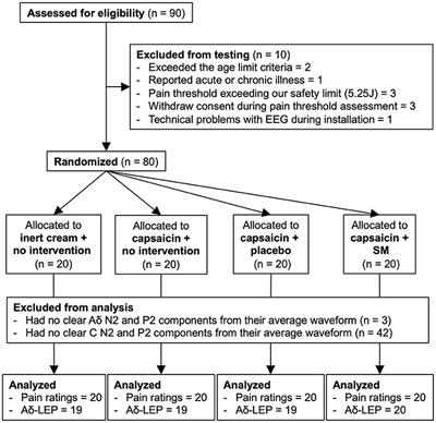 Segmental Chiropractic Spinal Manipulation Does not Reduce Pain Amplification and the Associated Pain-Related Brain Activity in a Capsaicin-Heat Pain Model